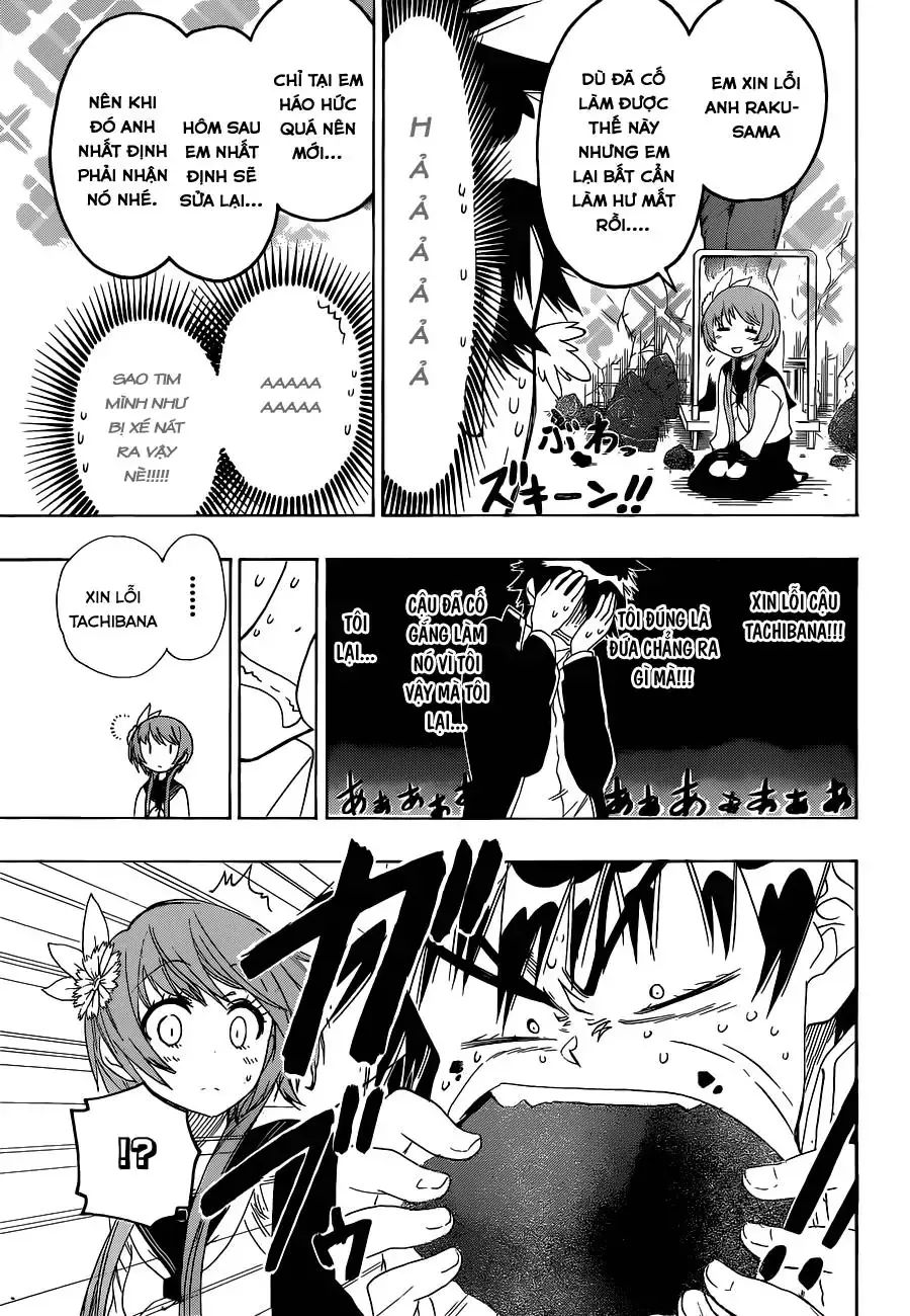 Nisekoi Chap 68 - Next Chap 69
