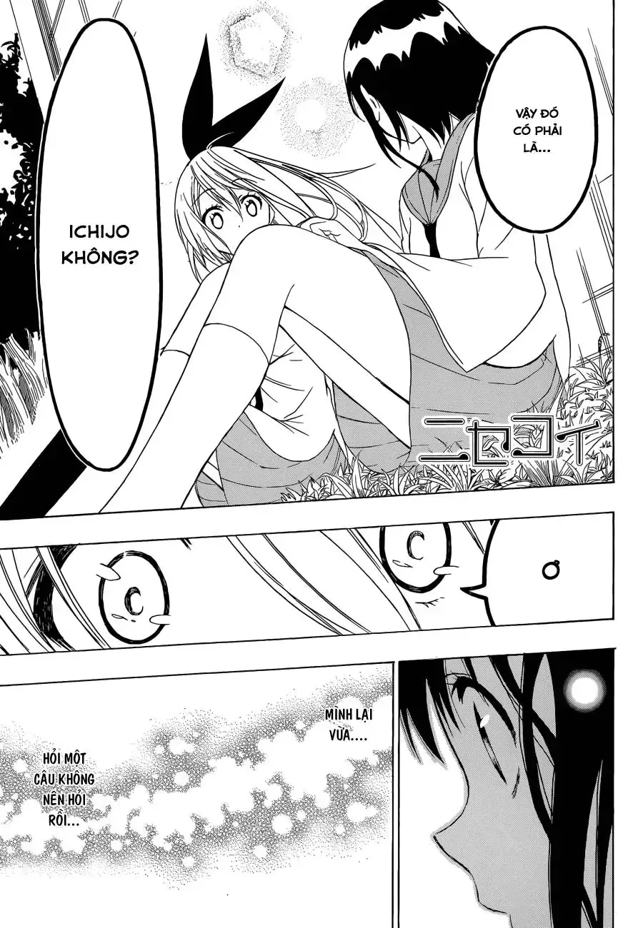 Nisekoi Chap 69 - Next Chap 70