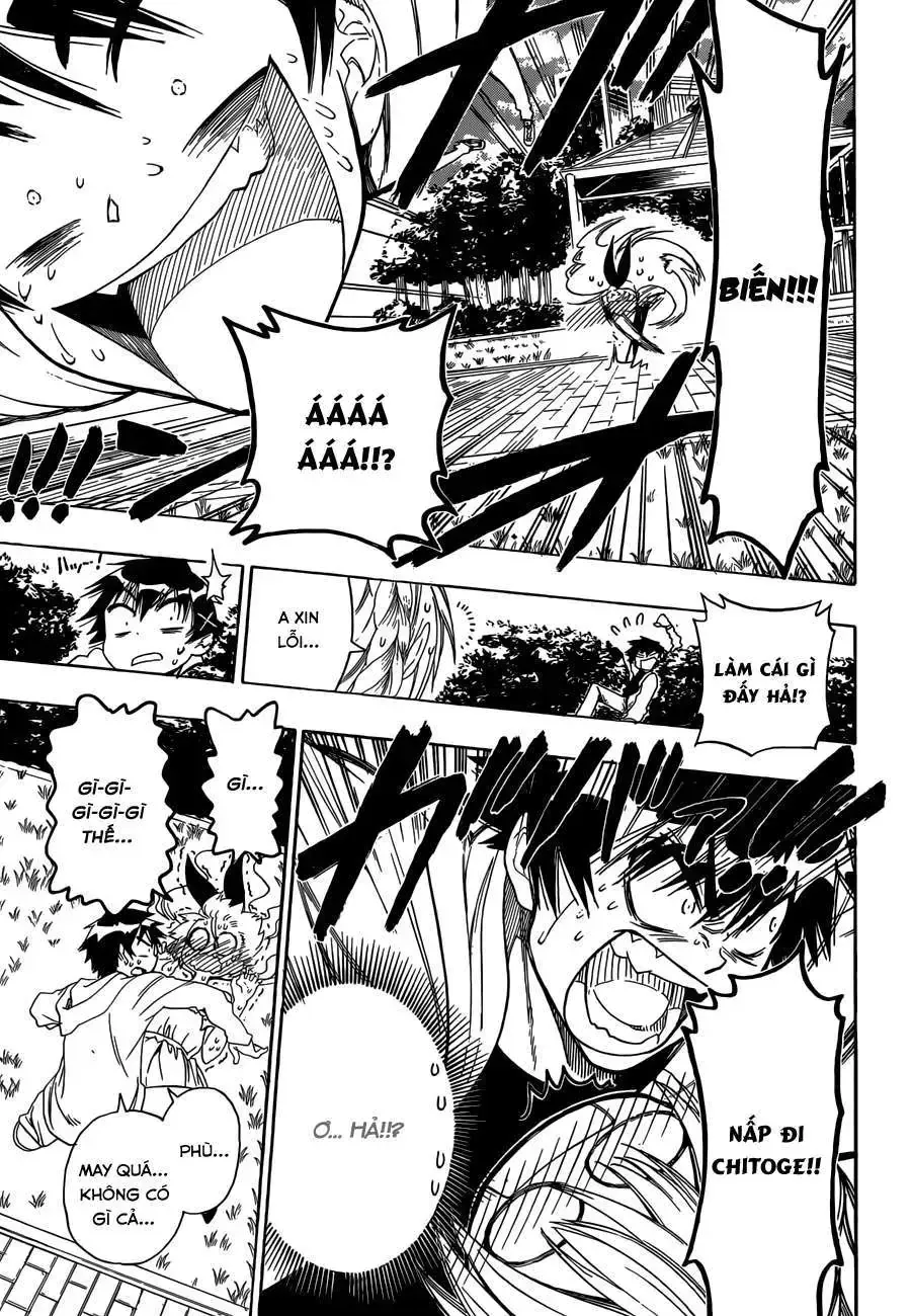 Nisekoi Chap 74 - Next Chap 75