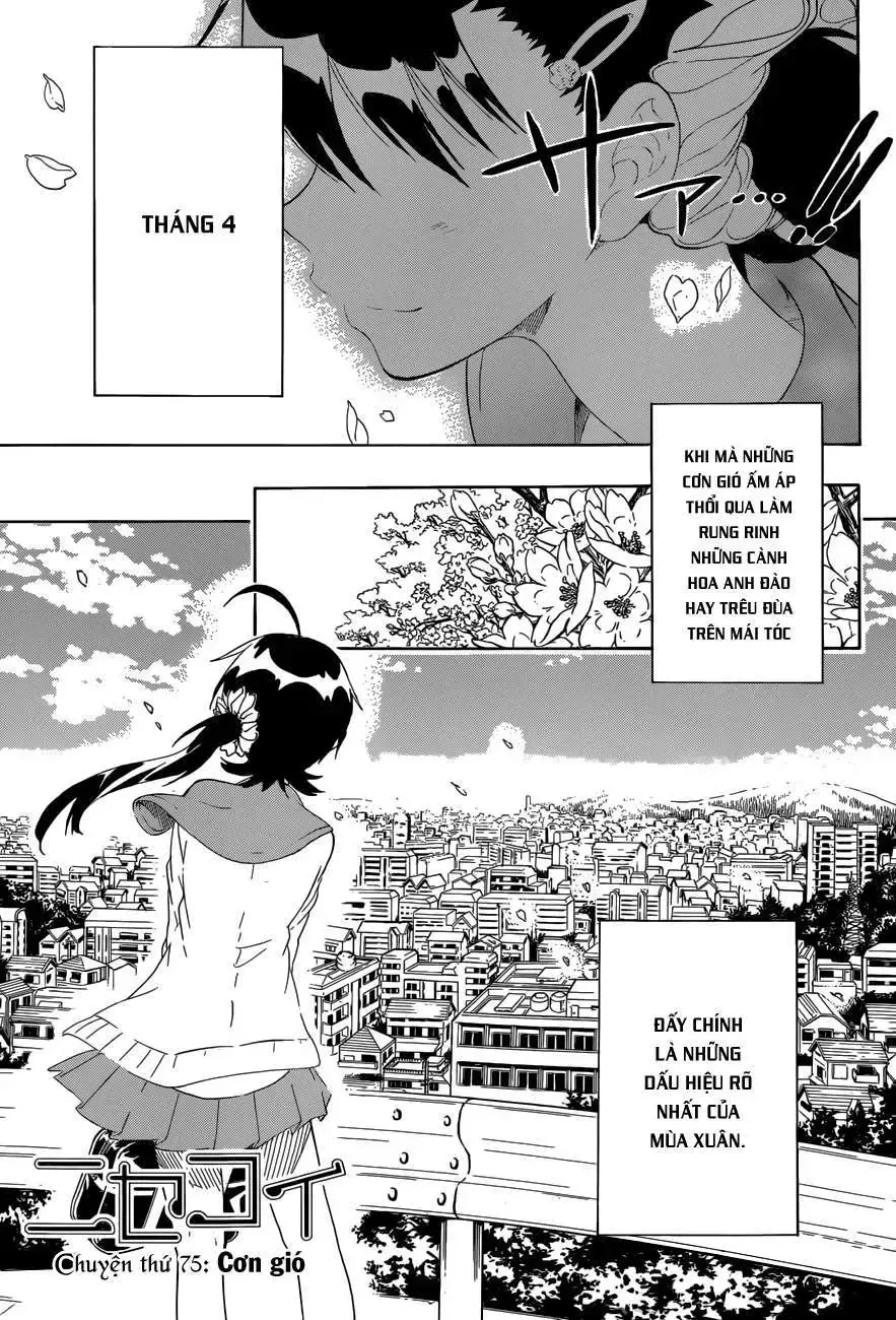 Nisekoi Chap 75 - Next Chap 76