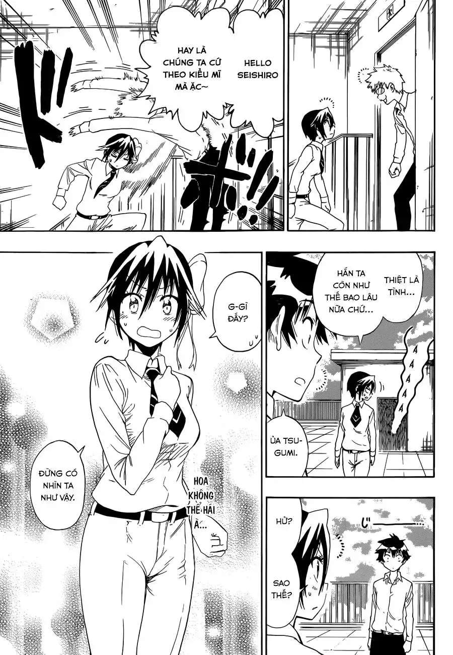 Nisekoi Chap 83 - Next Chap 84