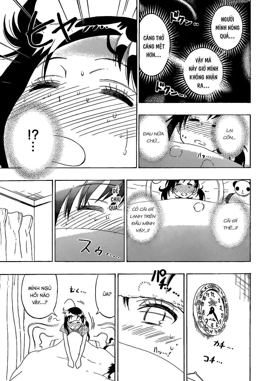 Nisekoi Chap 86 - Next Chap 87