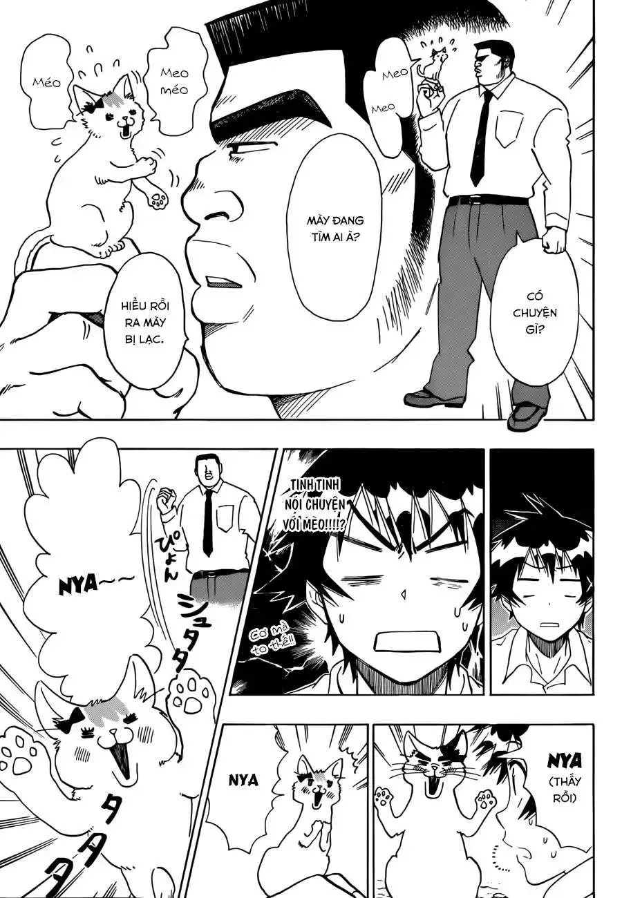 Nisekoi Chap 89.5 - Next Chap 90.5