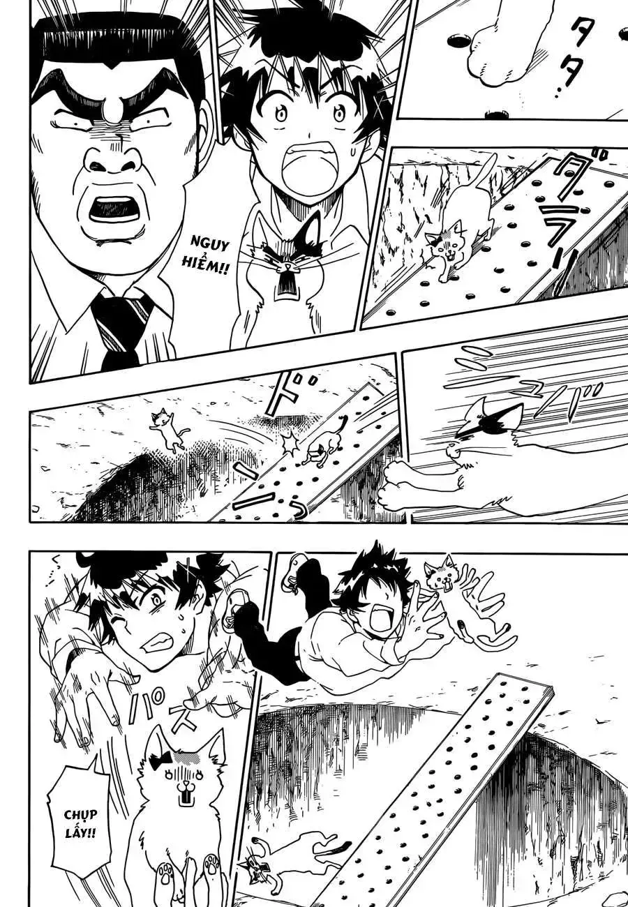 Nisekoi Chap 89.5 - Next Chap 90.5