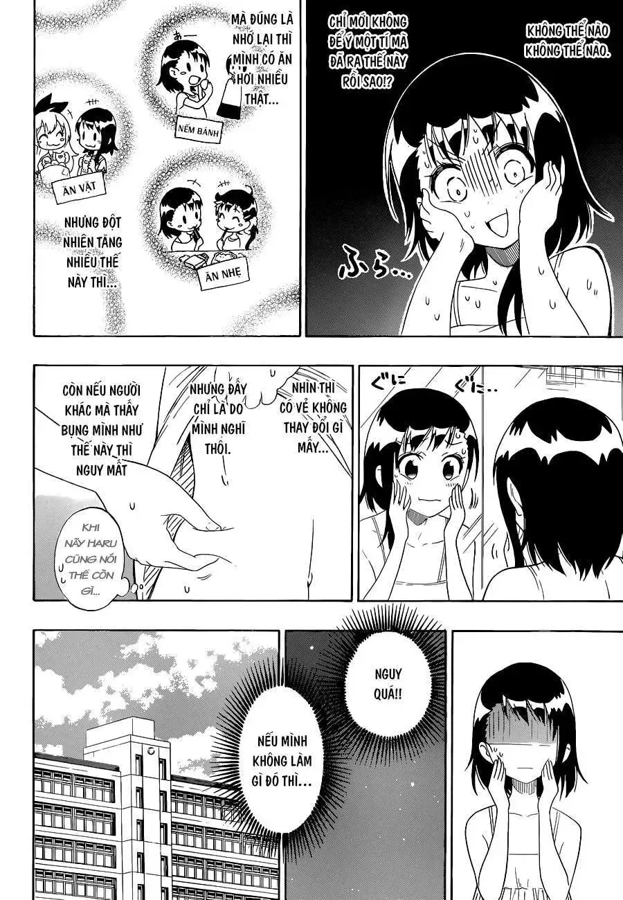 Nisekoi Chap 93 - Next Chap 94