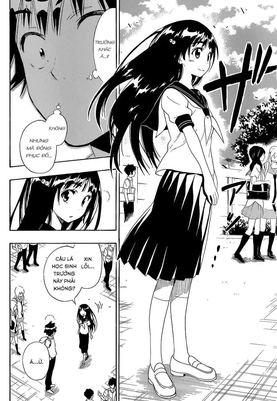 Nisekoi Chap 95 - Next Chap 96
