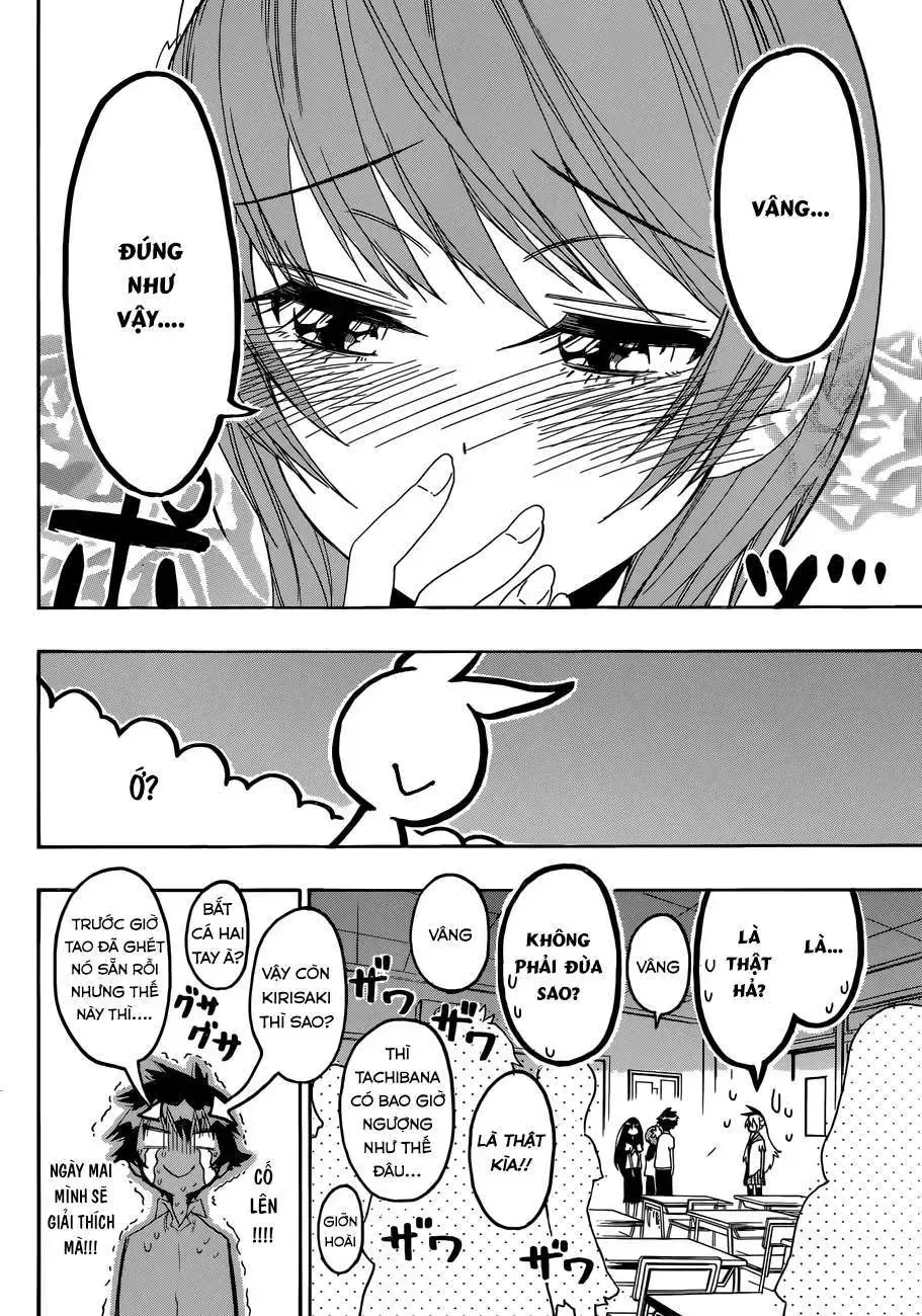 Nisekoi Chap 96 - Next Chap 97