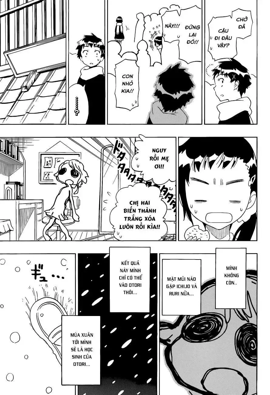 Nisekoi Chap 98 - Next Chap 99