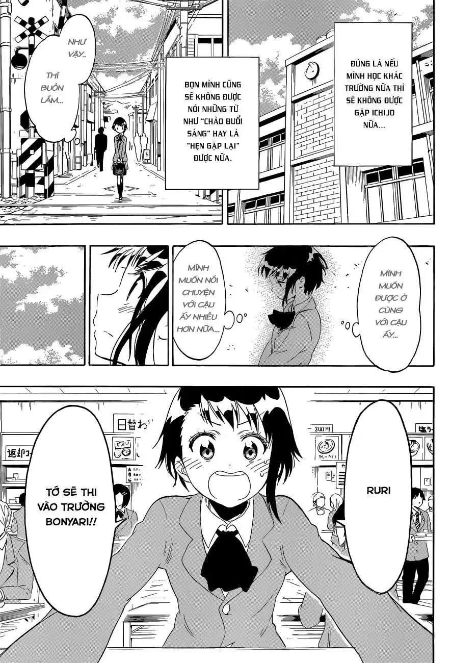 Nisekoi Chap 98 - Next Chap 99
