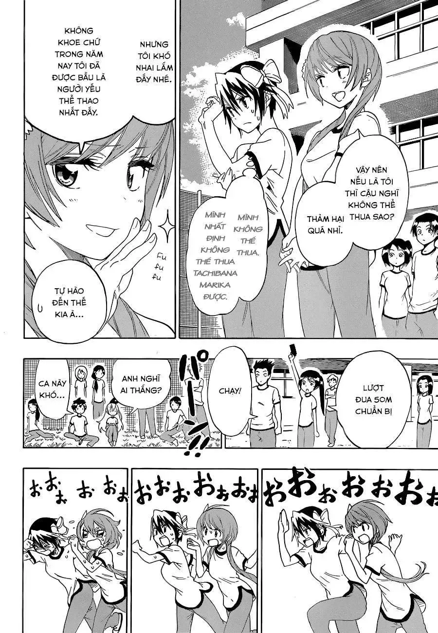 Nisekoi Chap 99 - Next Chap 100