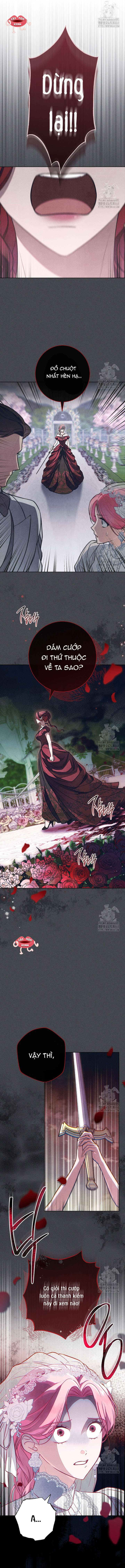 Nỗi Ám Ảnh Dành Cho Công Tước Phu Nhân Chap 17 - Next Chap 18