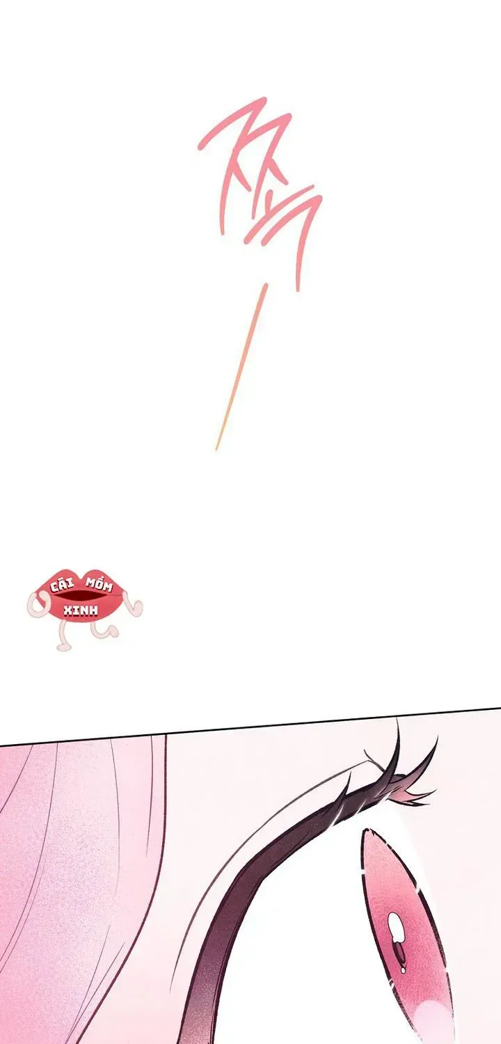 Nỗi Ám Ảnh Dành Cho Công Tước Phu Nhân Chap 19 - Next Chap 20