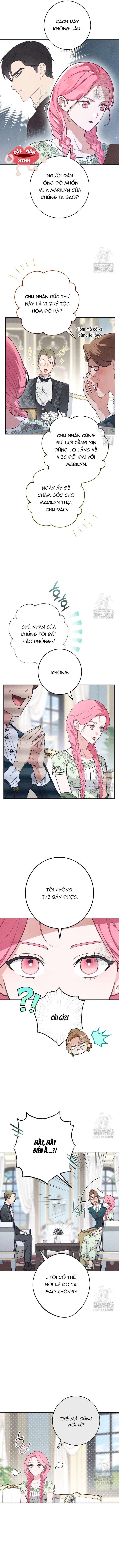 Nỗi Ám Ảnh Dành Cho Công Tước Phu Nhân Chap 2 - Next Chap 3