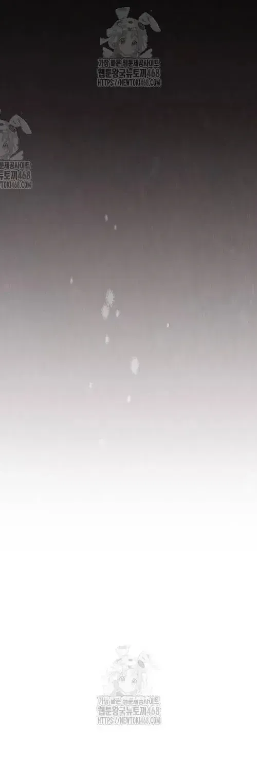 81