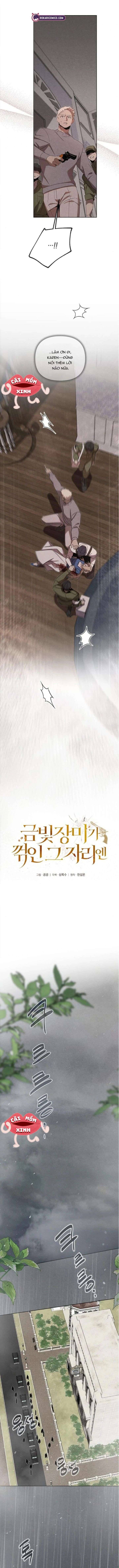 Nơi Đóa Hồng Vàng Úa Tàn Chap 16 - Next Chap 17