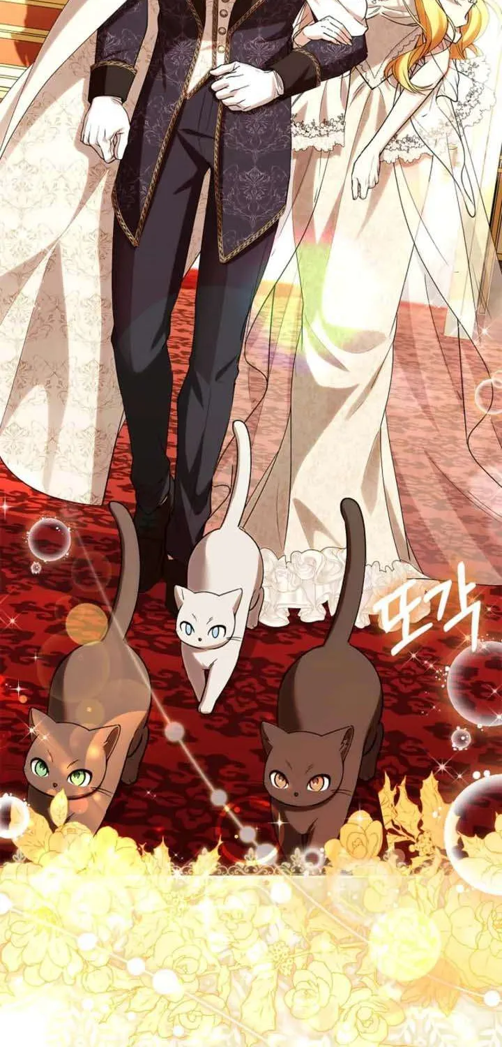 Nữ Bá Tước Bỏ Trốn Đã Quay Trở Lại Chap 43 - Next Chap 44