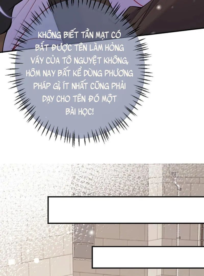 Nữ Chính Hắc Nguyệt Quang Luôn Muốn Đánh Dấu Tôi Chap 19 - Next Chap 20