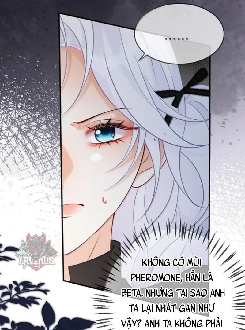 Nữ Chính Hắc Nguyệt Quang Luôn Muốn Đánh Dấu Tôi Chap 19 - Next Chap 20