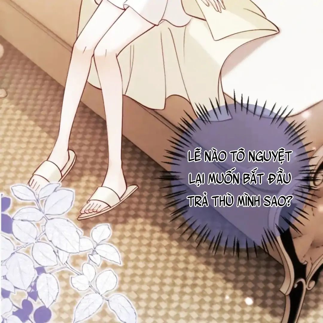 Nữ Chính Hắc Nguyệt Quang Luôn Muốn Đánh Dấu Tôi Chap 29 - Next Chap 30