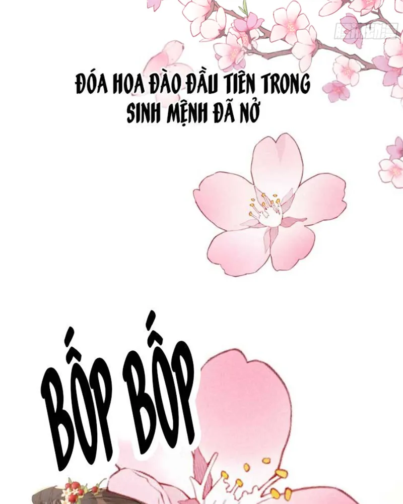 Nữ Chính ta Từ Chối Não Bộ yêu Đương Chap 3 - Next Chap 4
