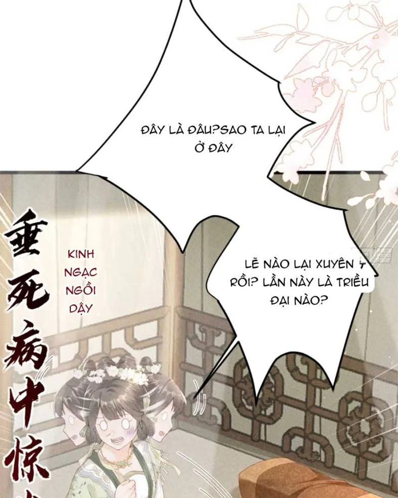 Nữ Chính ta Từ Chối Não Bộ yêu Đương Chap 4 - Next Chap 5