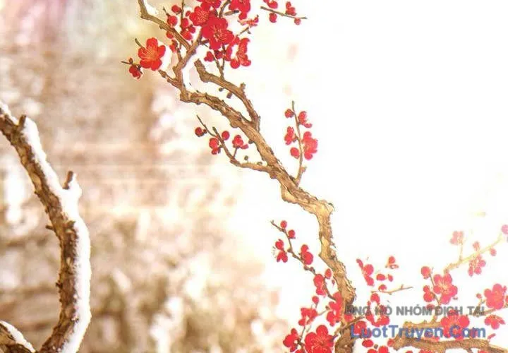 Nữ hoàng cờ vây Chap 36 - Next Chap 37