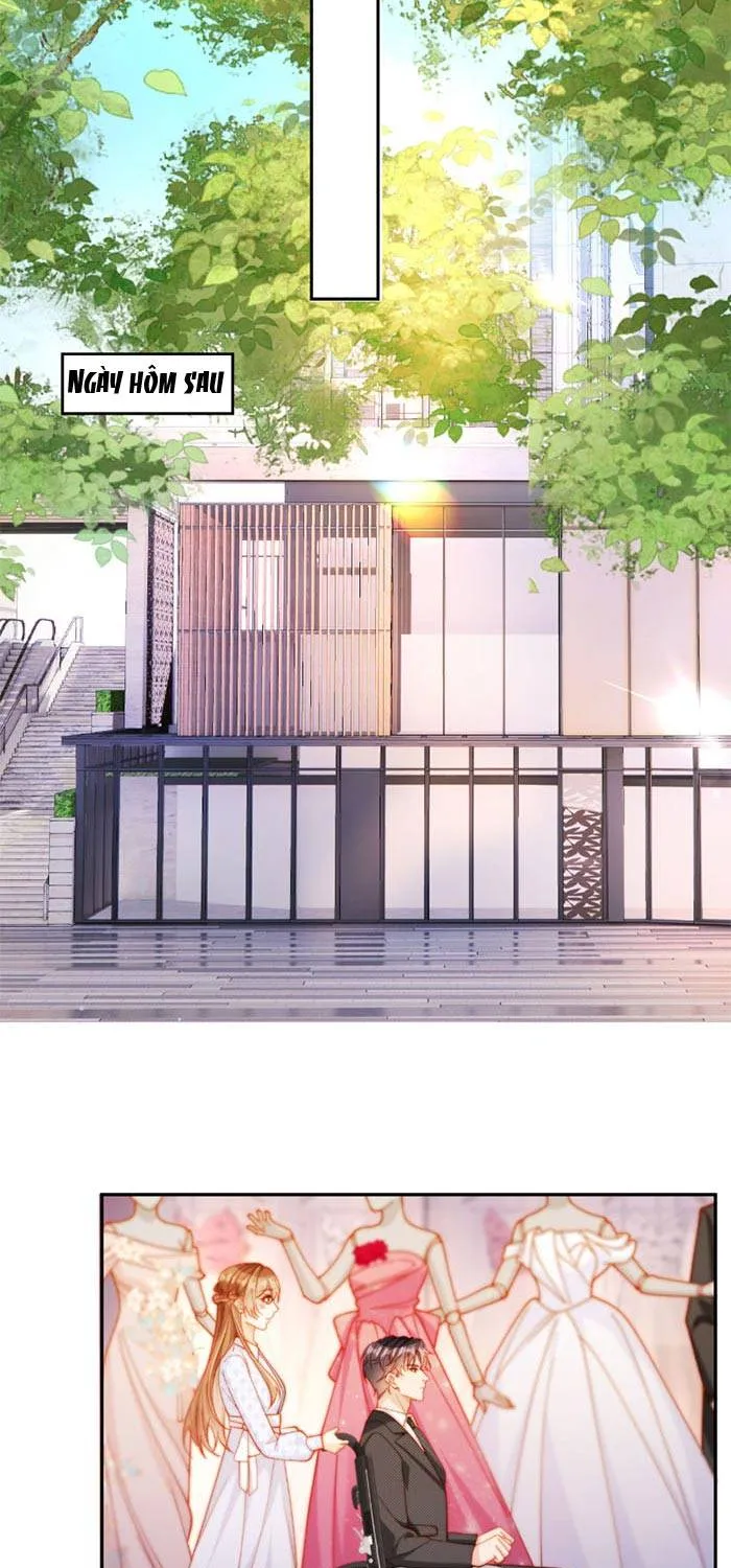 Nụ Hôn Xung Hỉ: Đại Lão Thực Vật Sống Lại Rồi! Chap 32 - Next Chap 33