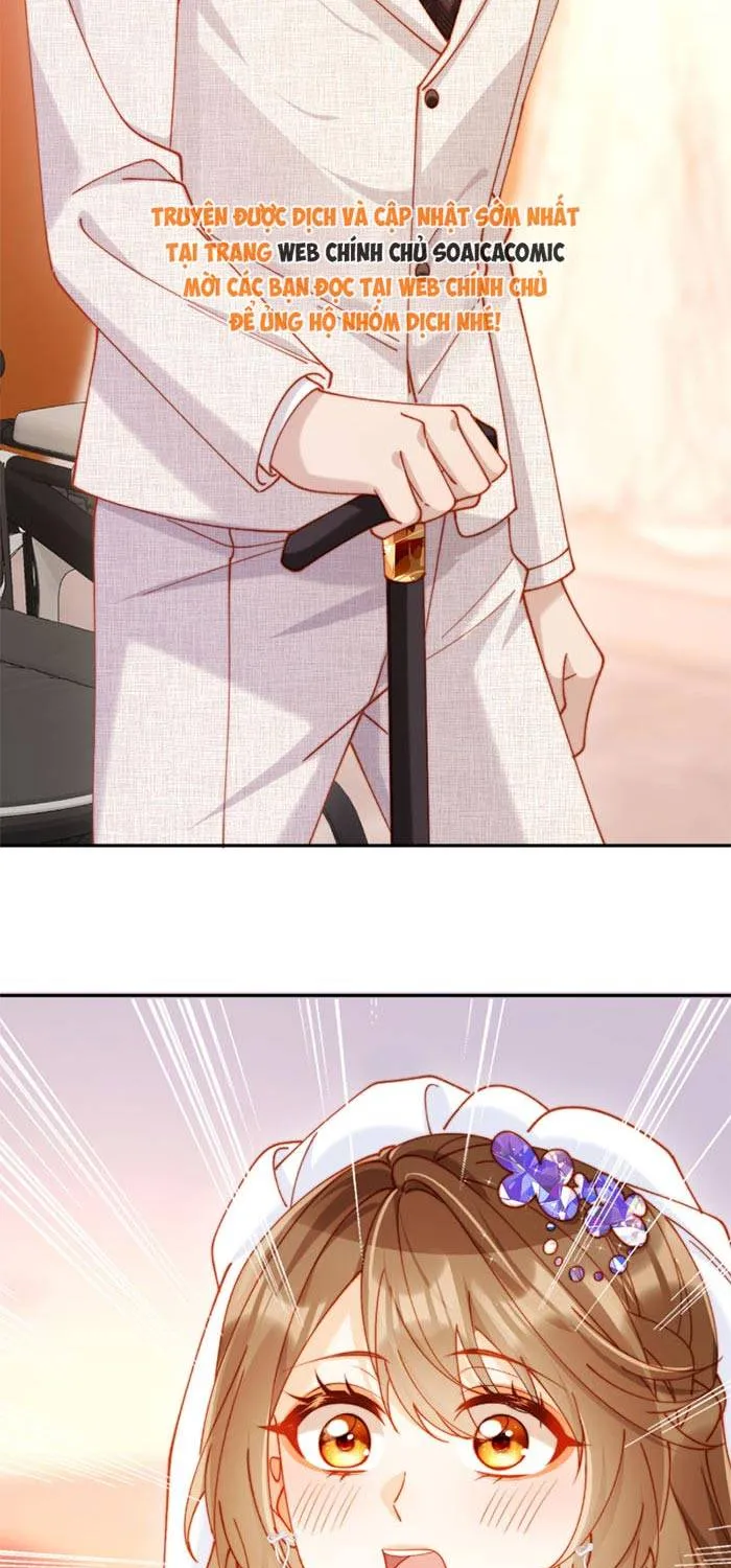 Nụ Hôn Xung Hỉ: Đại Lão Thực Vật Sống Lại Rồi! Chap 32 - Next Chap 33