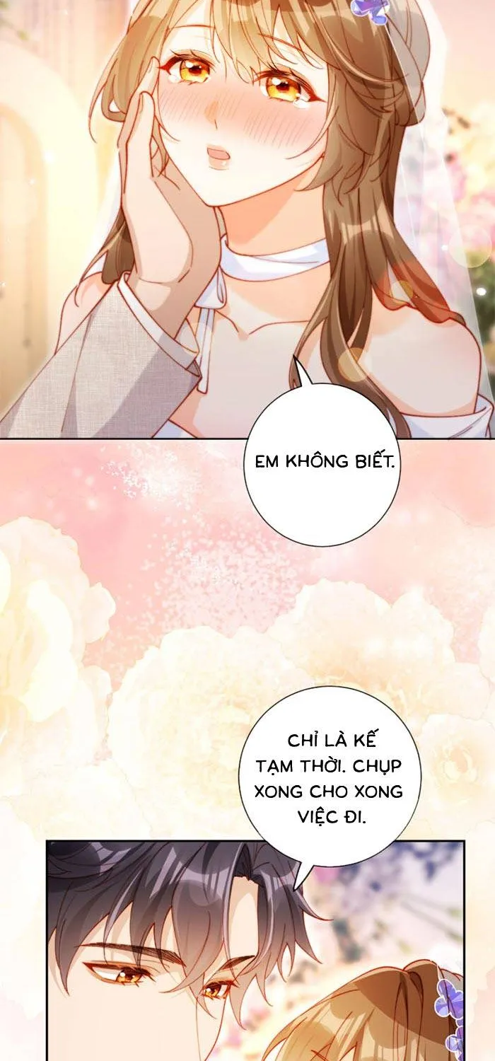 Nụ Hôn Xung Hỉ: Đại Lão Thực Vật Sống Lại Rồi! Chap 33 - Next Chap 34
