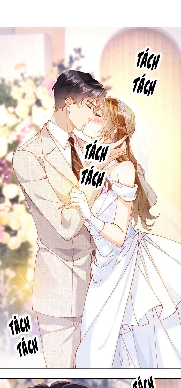 Nụ Hôn Xung Hỉ: Đại Lão Thực Vật Sống Lại Rồi! Chap 33 - Next Chap 34