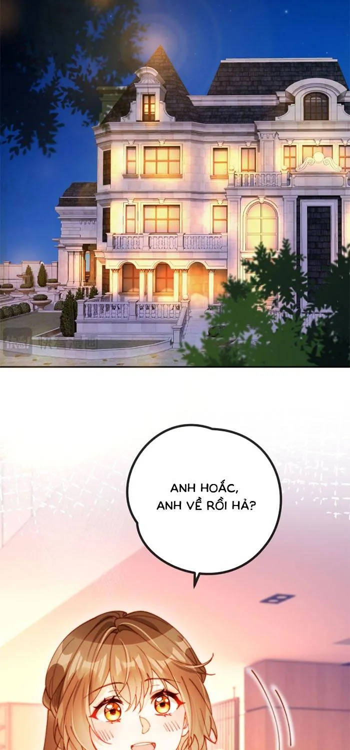 Nụ Hôn Xung Hỉ: Đại Lão Thực Vật Sống Lại Rồi! Chap 36 - Next Chap 37