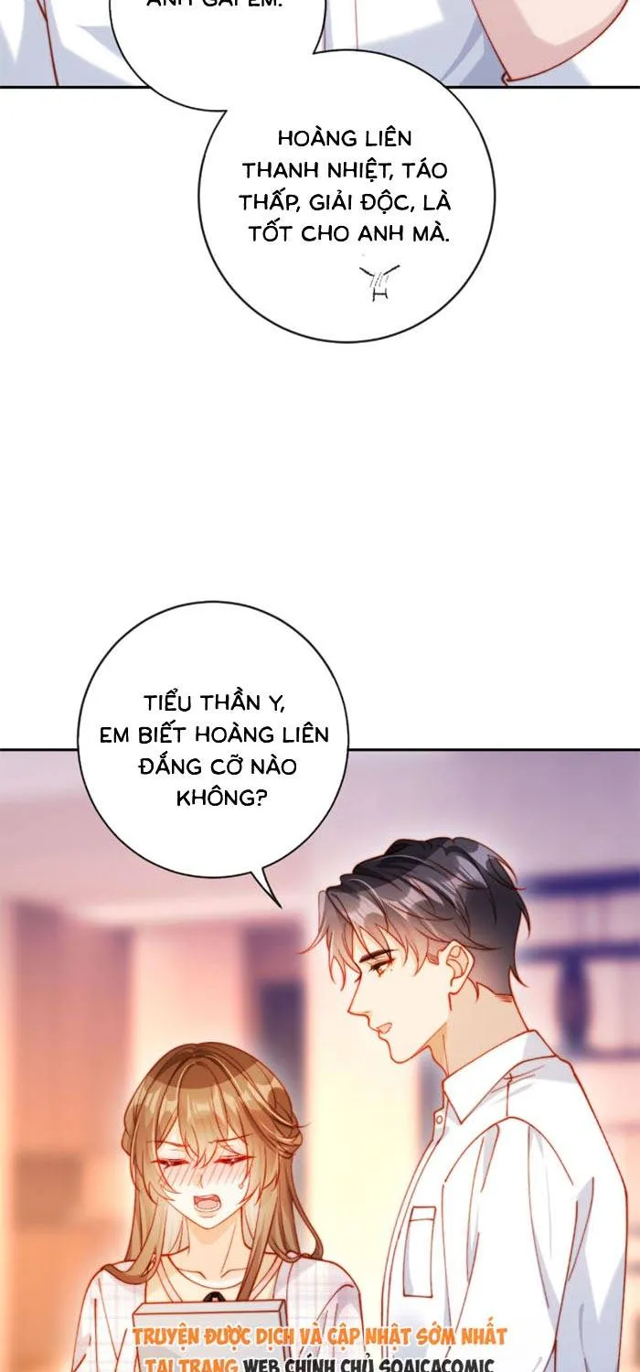 Nụ Hôn Xung Hỉ: Đại Lão Thực Vật Sống Lại Rồi! Chap 36 - Next Chap 37