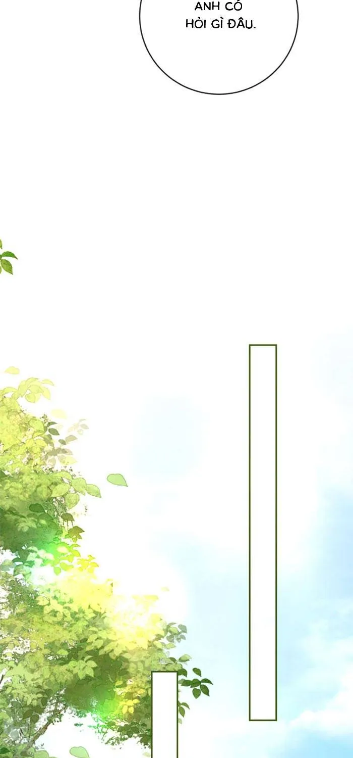 Nụ Hôn Xung Hỉ: Đại Lão Thực Vật Sống Lại Rồi! Chap 36 - Next Chap 37