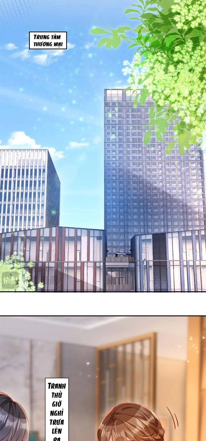 Nụ Hôn Xung Hỉ: Đại Lão Thực Vật Sống Lại Rồi! Chap 39 - Next Chap 40