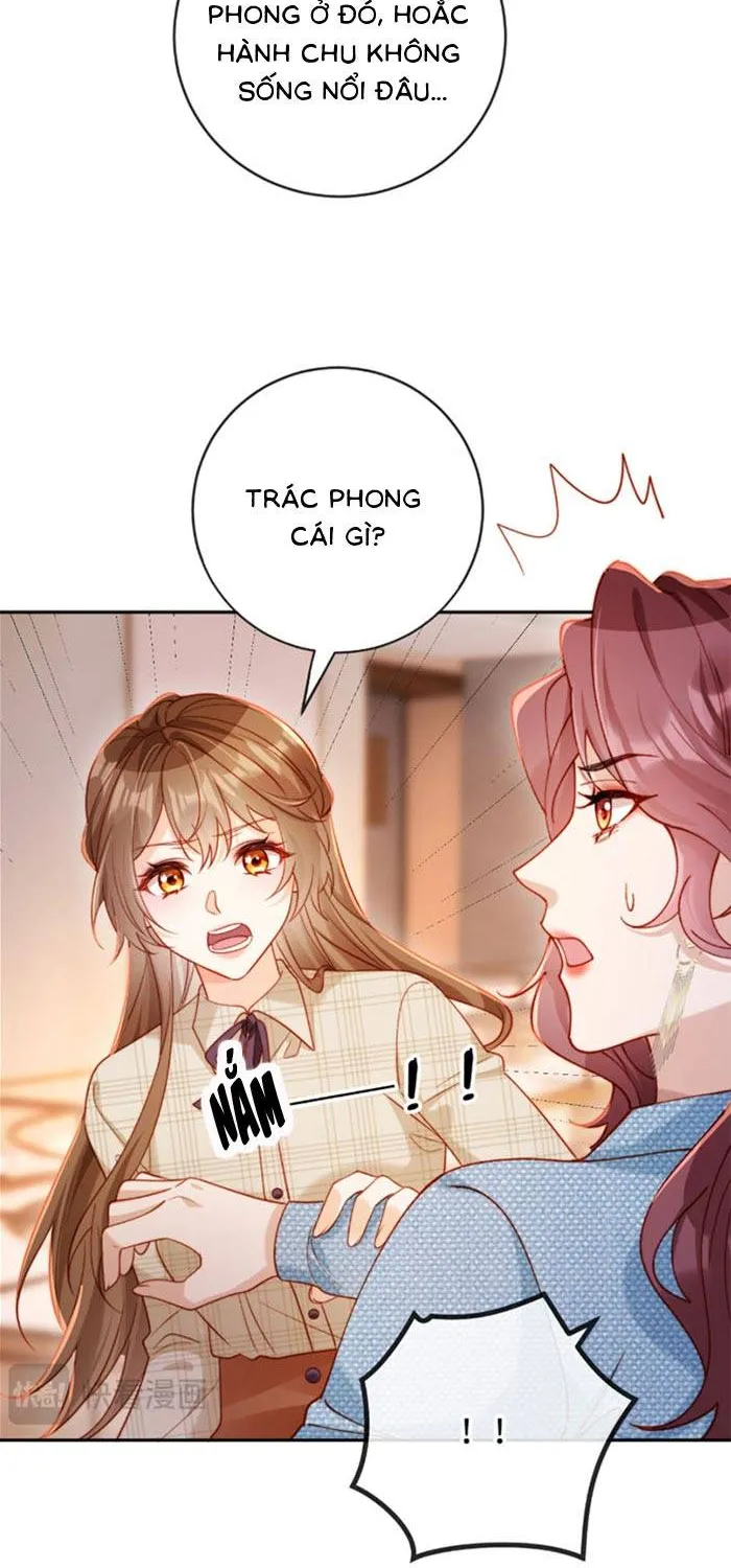 Nụ Hôn Xung Hỉ: Đại Lão Thực Vật Sống Lại Rồi! Chap 39 - Next Chap 40