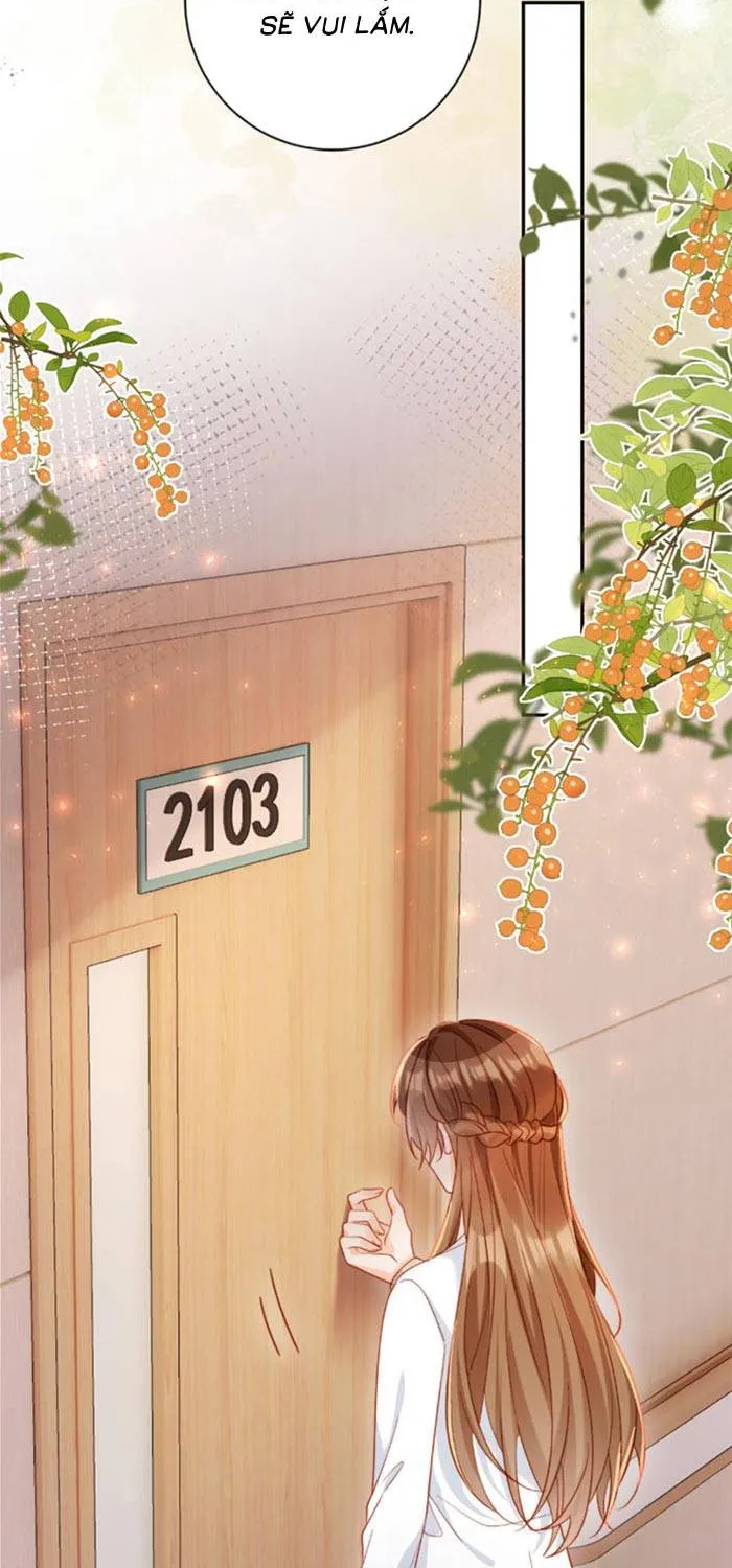 Nụ Hôn Xung Hỉ: Đại Lão Thực Vật Sống Lại Rồi! Chap 39 - Next Chap 40