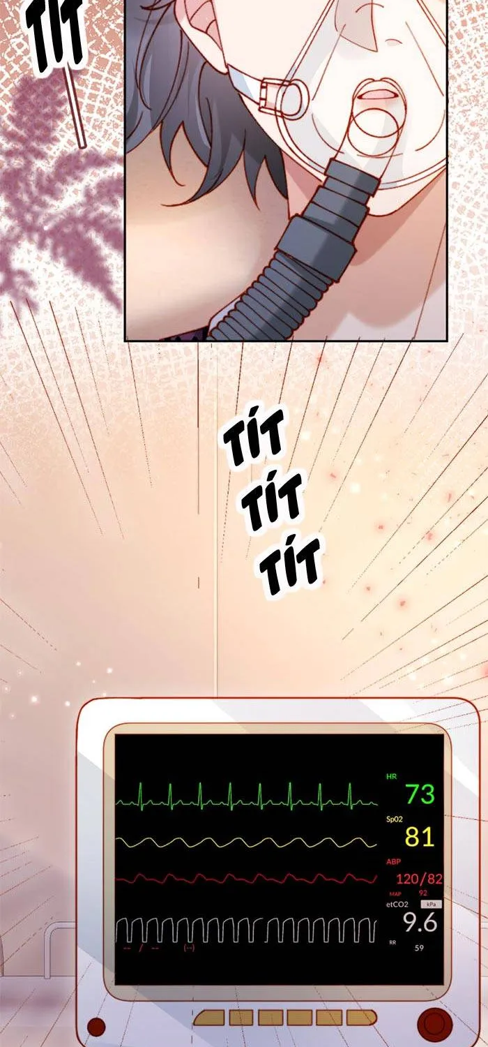 Nụ Hôn Xung Hỉ: Đại Lão Thực Vật Sống Lại Rồi! Chap 39 - Next Chap 40