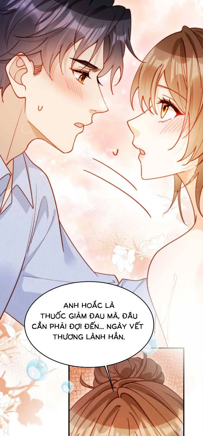 Nụ Hôn Xung Hỉ: Đại Lão Thực Vật Sống Lại Rồi! Chap 66 - Next Chap 67