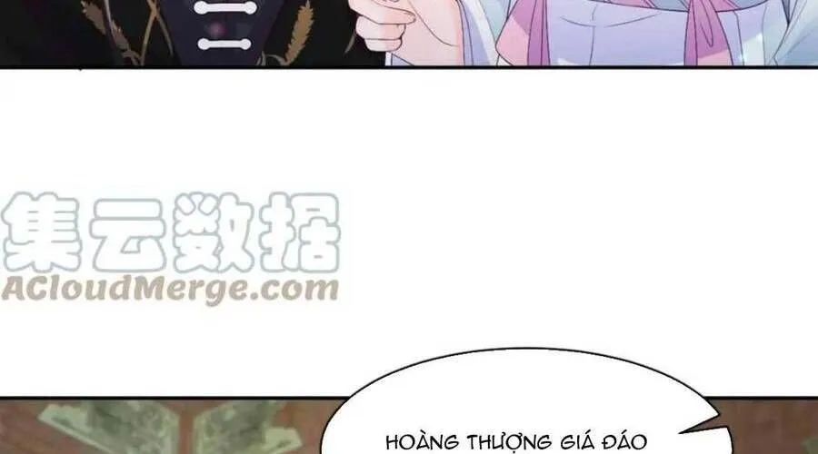 Nữ Phụ Ngày Nào Cũng Muốn Ly Hôn Với Ta Chap 62 - Next Chap 63