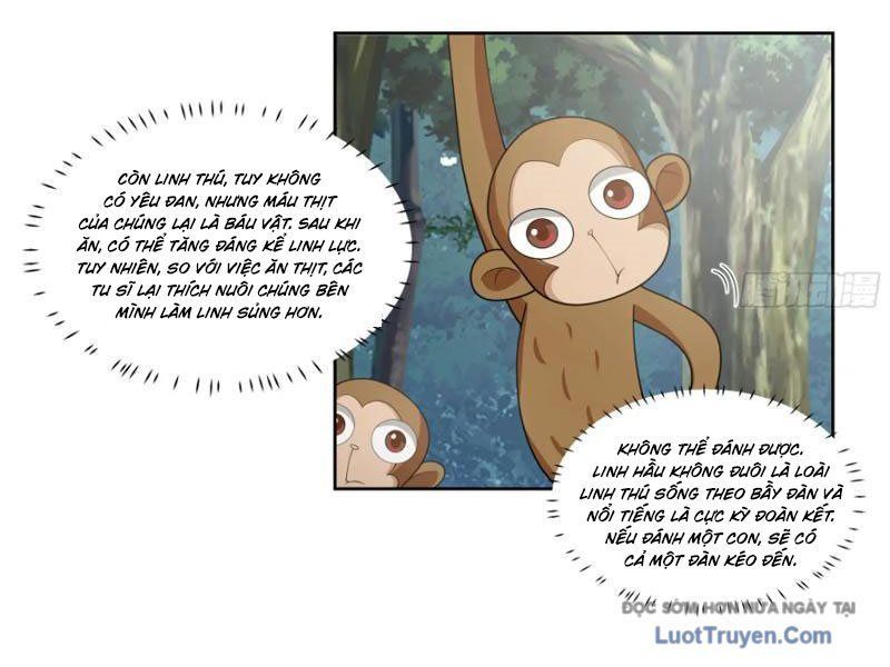 Nữ Phụ Tu Tiên Từ Chối Kịch Bản Pháo Hôi Chap 11 - Next Chap 12