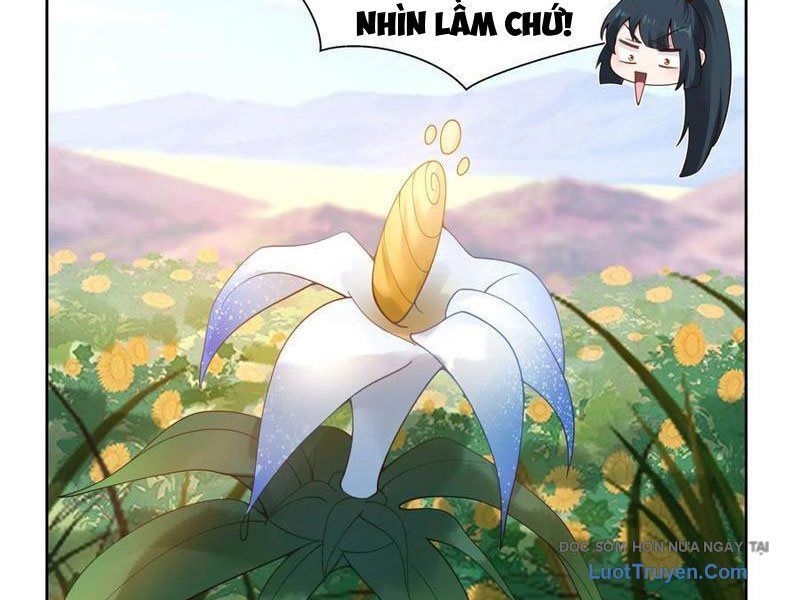 Nữ Phụ Tu Tiên Từ Chối Kịch Bản Pháo Hôi Chap 12 - Next Chap 13