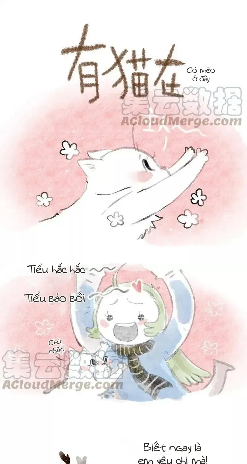Ở Đây Có Mèo Chap 2 - Next Chap 3