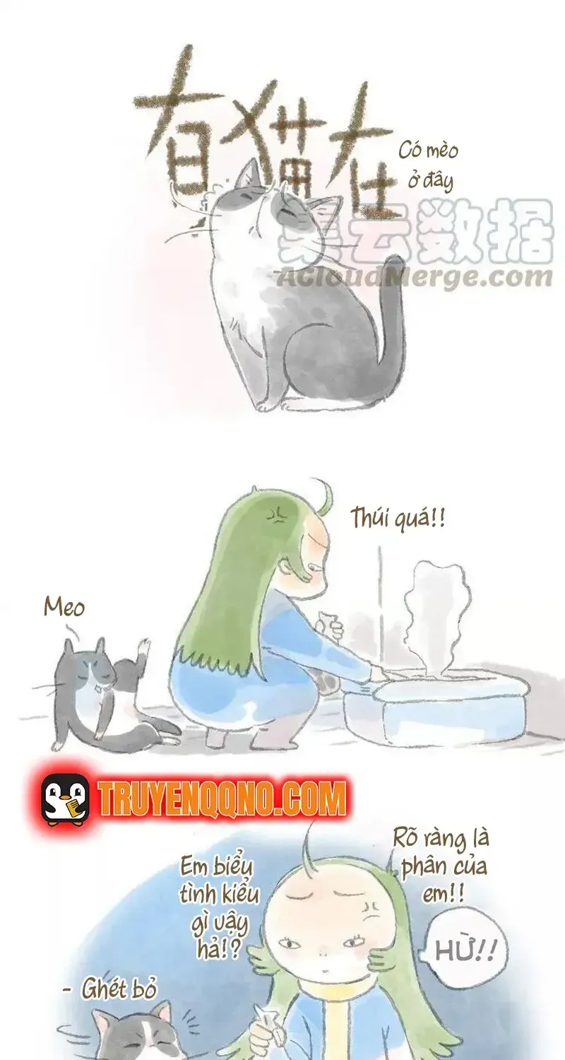 Ở Đây Có Mèo Chap 3 - Next Chap 4