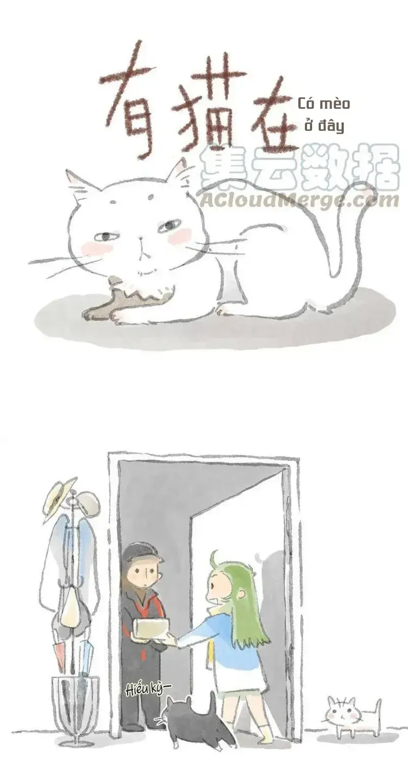Ở Đây Có Mèo Chap 4 - Next Chap 5