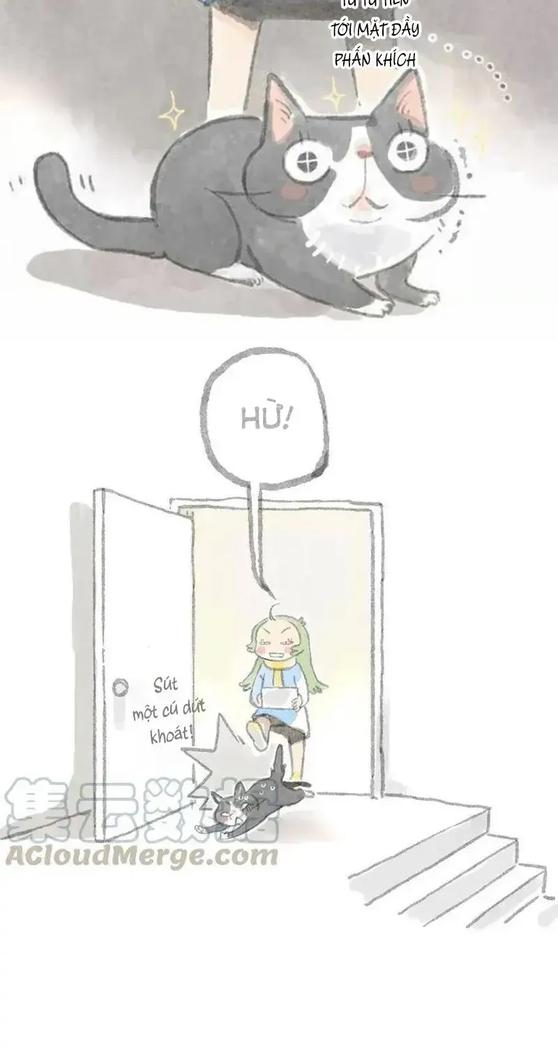 Ở Đây Có Mèo Chap 4 - Next Chap 5