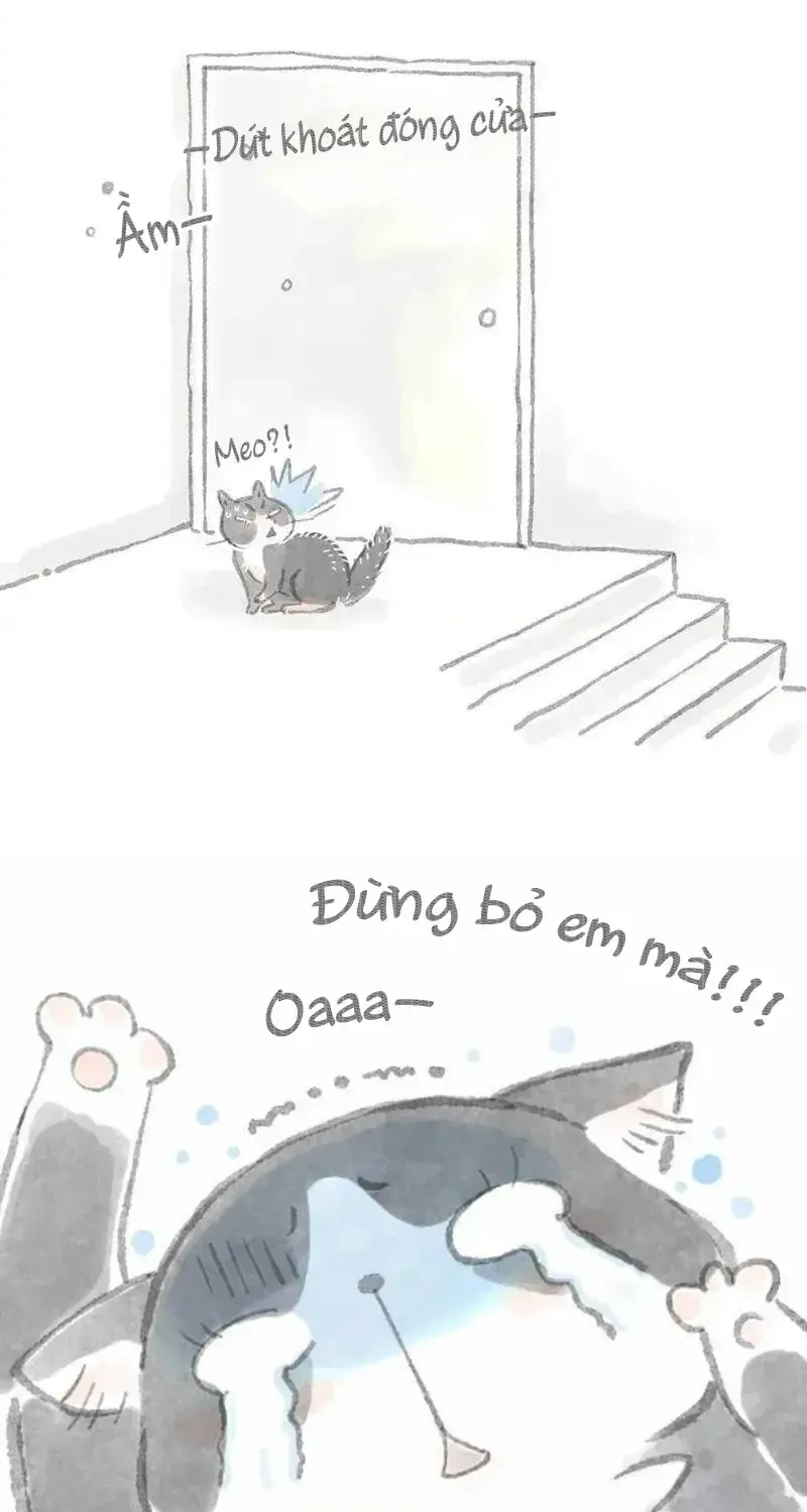 Ở Đây Có Mèo Chap 4 - Next Chap 5