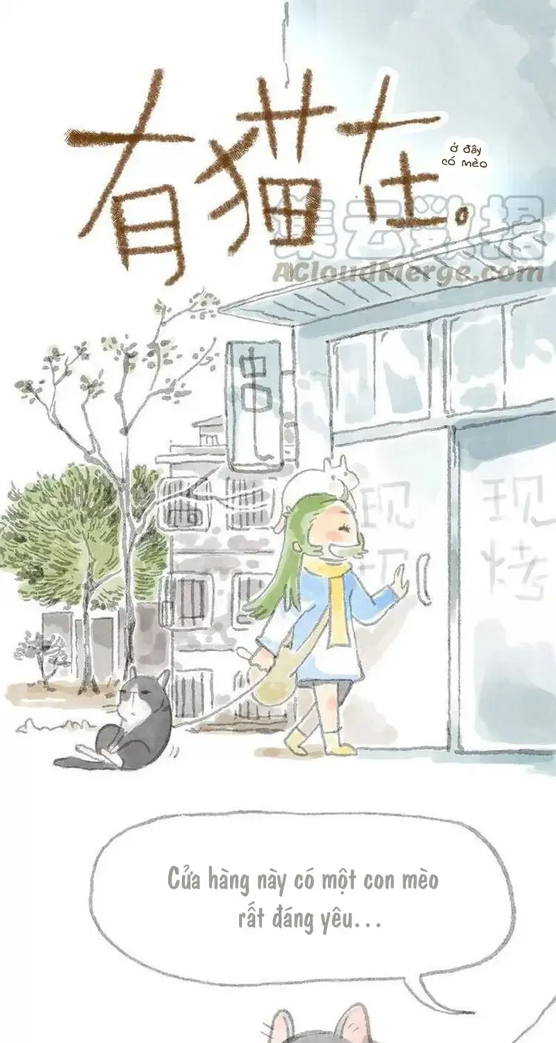 Ở Đây Có Mèo Chap 6 - Next Chap 7