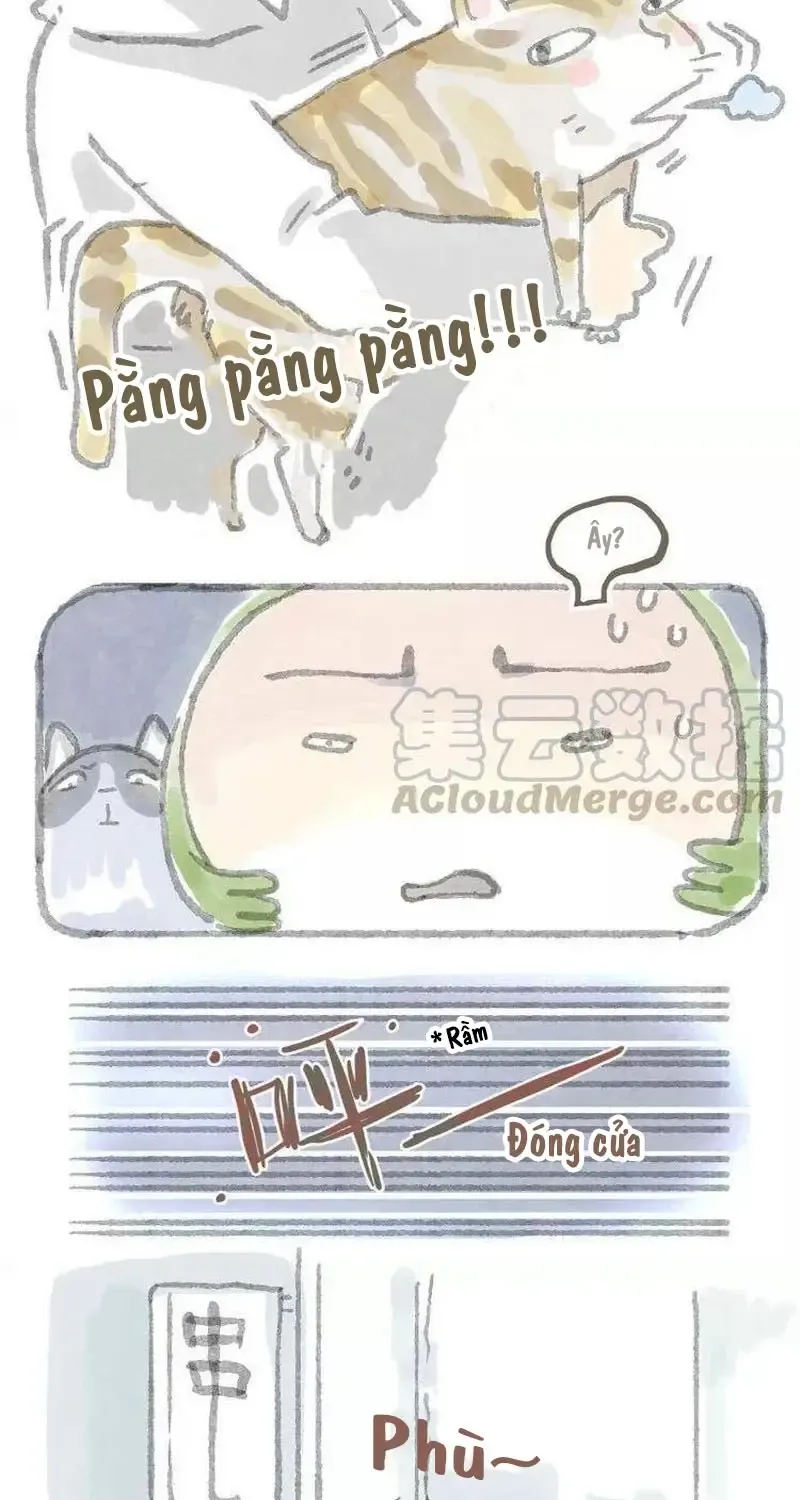 Ở Đây Có Mèo Chap 6 - Next Chap 7