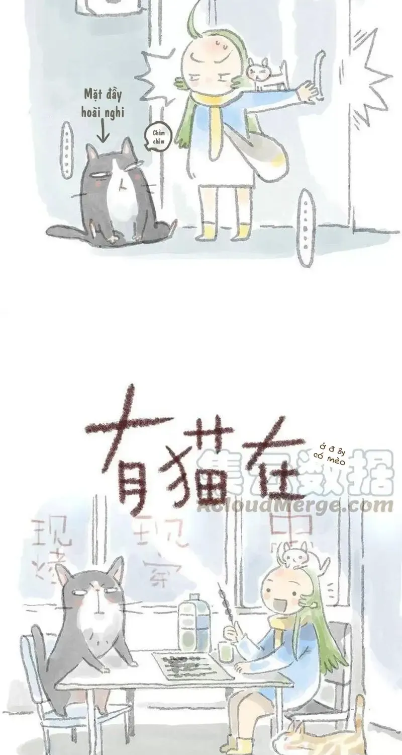 Ở Đây Có Mèo Chap 6 - Next Chap 7