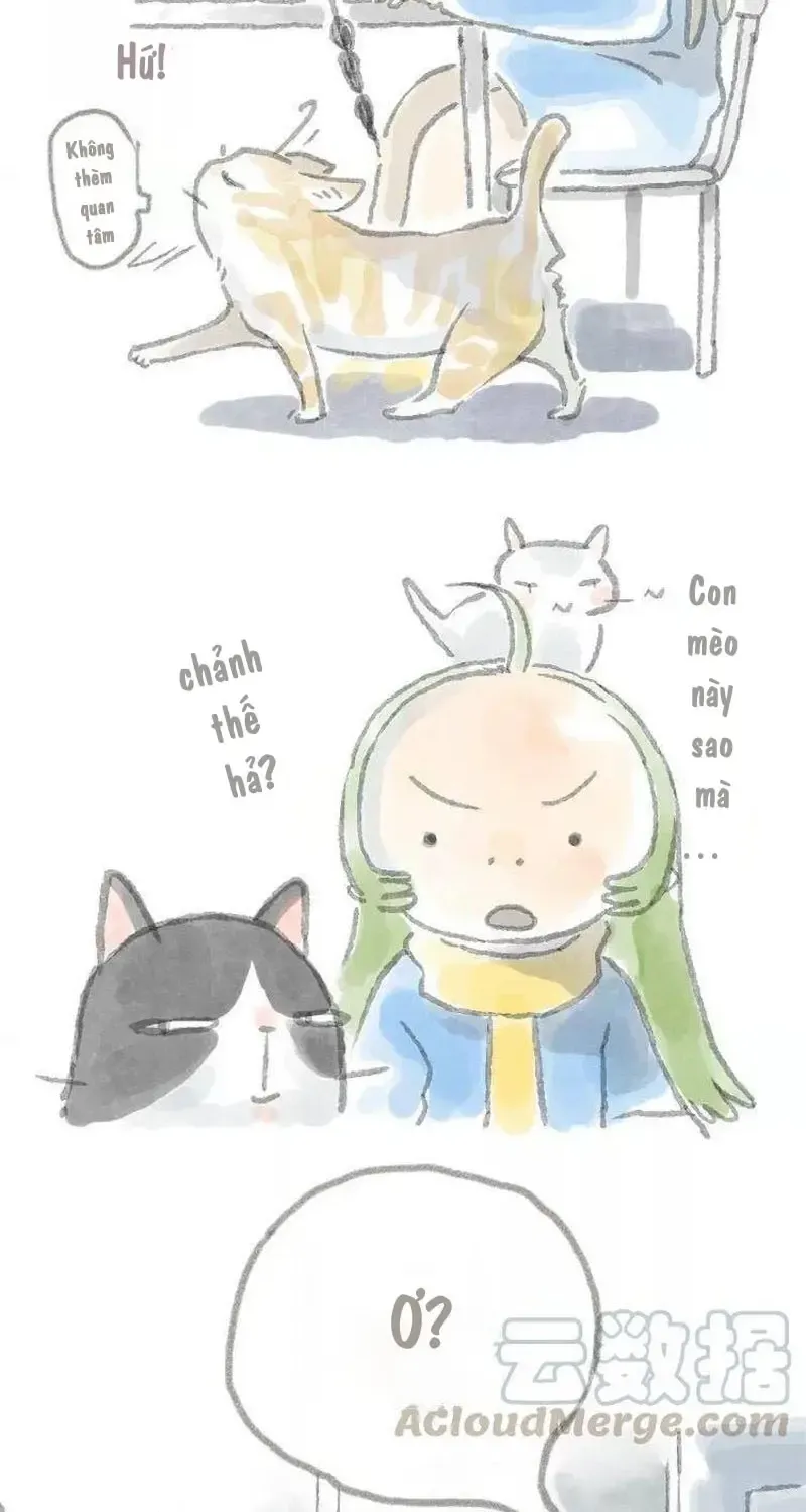 Ở Đây Có Mèo Chap 6 - Next Chap 7